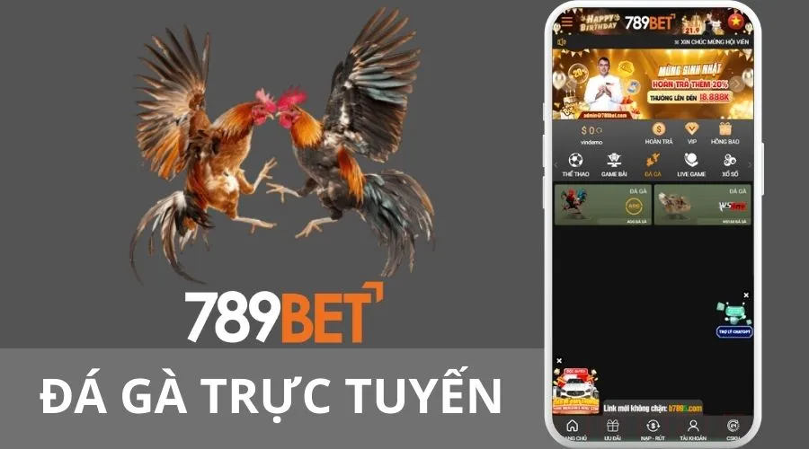 Các loại kèo cược đá gà tại nhà cái 789BET