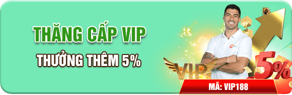 Thăng cấp vip thưởng thêm 5%